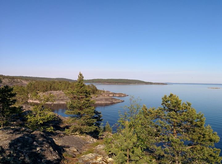 Pines and skerries over a wide lake