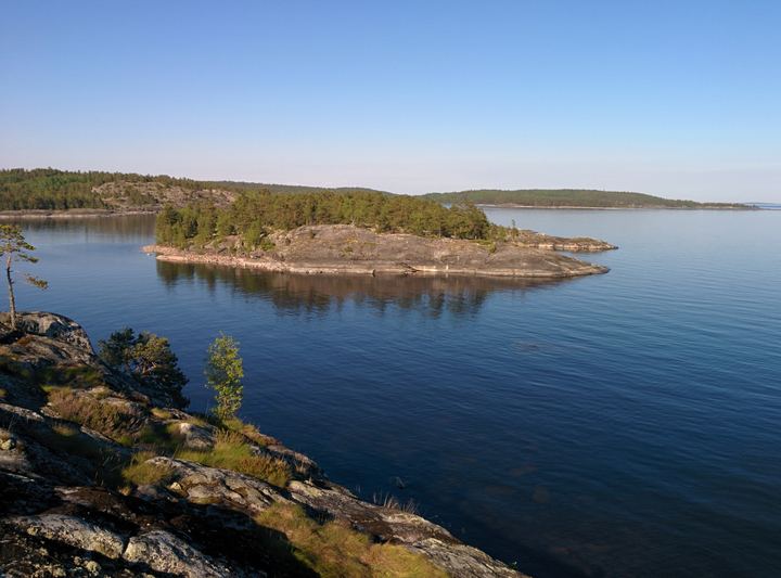 A small pine island in still blue water